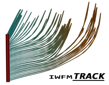 IWFM TRACK